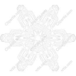 Elegant Winter Snowflake