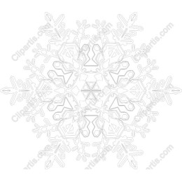 Elegant Snowflake