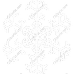 Elegant Snowflake