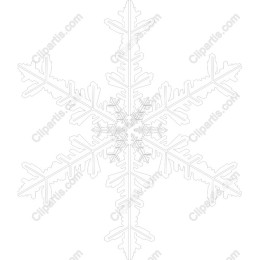 Elegant Snowflake