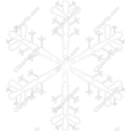 Elegant Snowflake