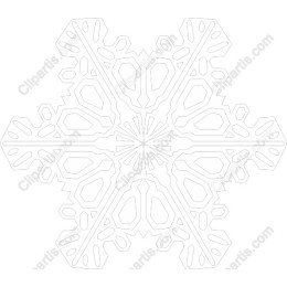 Intricate Winter Snowflake