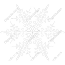 Elegant Snowflake
