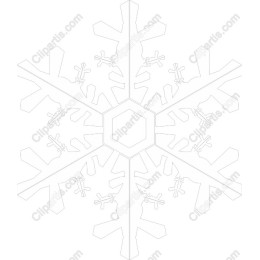 Snowflake Elegance