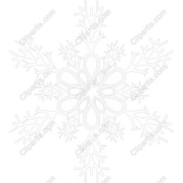 Elegant Snowflake