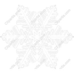 Elegant Snowflake