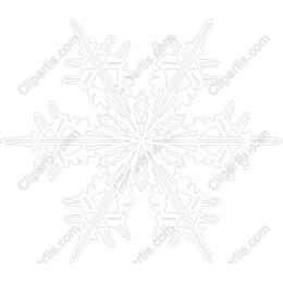 Exquisite Winter Snowflake