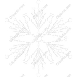 Elegant Snowflake