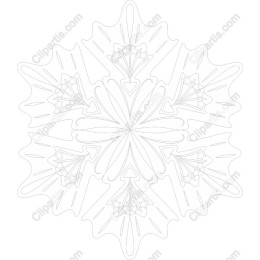 Elegant Snowflake