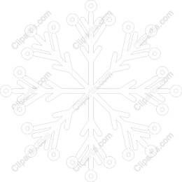 Elegant Snowflake