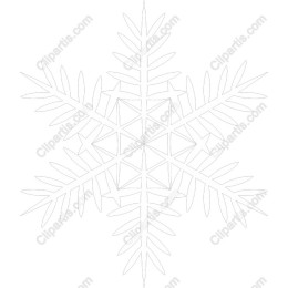 Snowflake - Elegant Winter