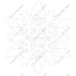 Elegant Snowflake
