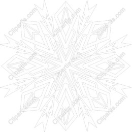 Elegant Geometric Floral