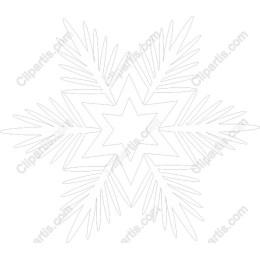 Elegant Snowflake