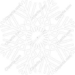 Stunning Snowflake