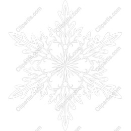 Elegant Snowflake