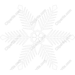 Elegant Snowflake
