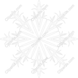 Elegant Snowflake