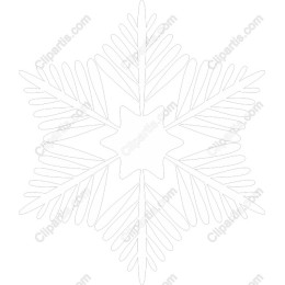 Elegant Snowflake