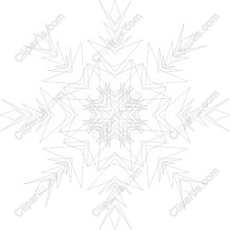 Exquisite Snowflake