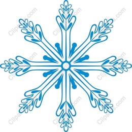 Elegant Snowflake