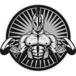Spartan Warrior Fitness