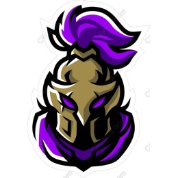 Dynamic Knight Helmet