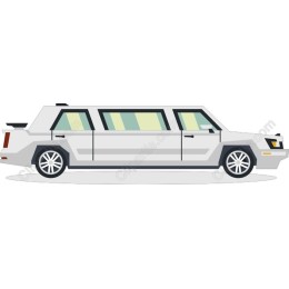 Luxury White Limousine
