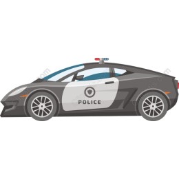 Sleek Police Car