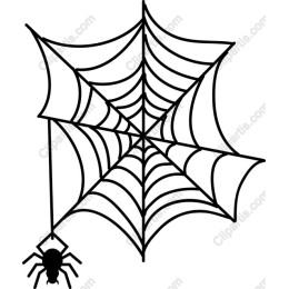 Spider Web with Spider