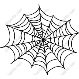 Intricate Spider Web