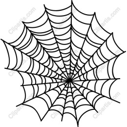 Intricate Spider Web