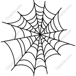 Intricate Spider Web