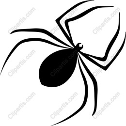 Black Spider