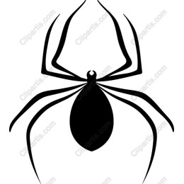 Black Spider