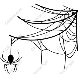 Spider and Web