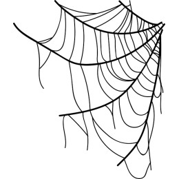 Black and White Spider Web