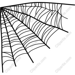 Intricate Spider Web