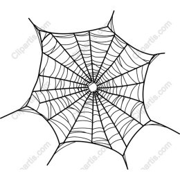 Spider Web
