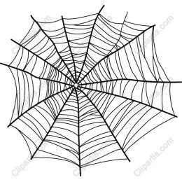 Intricate Spider Web