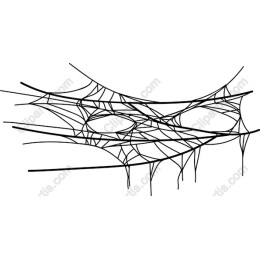 Intricate Spider Web