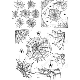 Intricate Spider Web Bundle