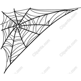 Intricate Spider Web