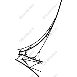 Abstract Spider Web