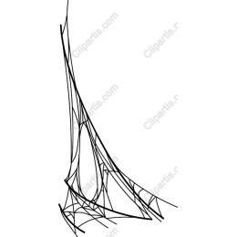 Intricate Spider Web