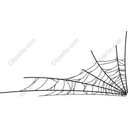 Intricate Spider Web