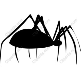 Creepy Crawlies: Spider