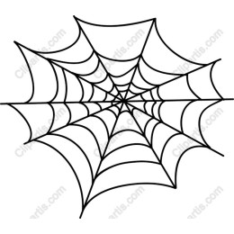 Spider Web