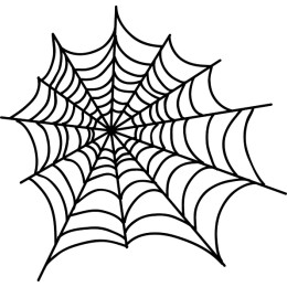 Spider Web