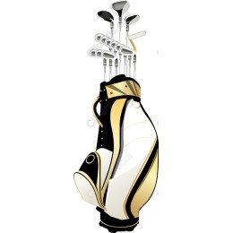 Elegant Golf Bag